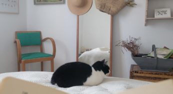 Je suis fatiguée